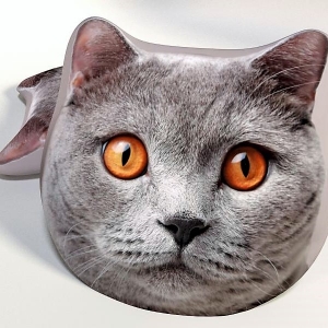 Dětský polštářek 3D kočka šedá