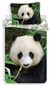 Jerry Fabrics povlečení bavlna fototisk Panda 02 140x200+70x90 cm  