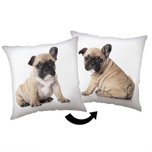 Jerry Fabrics Polštářek Bulldog 40x40 cm
