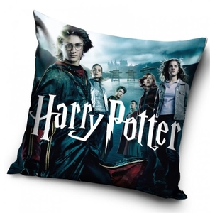 Dětský povlak na polštářek Harry Potter Čarodějovi Učni 40x40 cm 