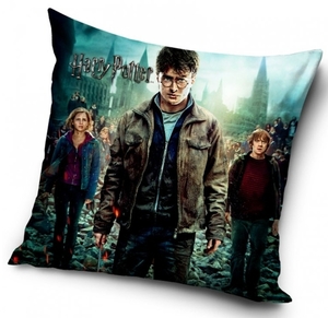 Dětský povlak na polštářek Harry Potter a Čarodějové 40x40 cm 