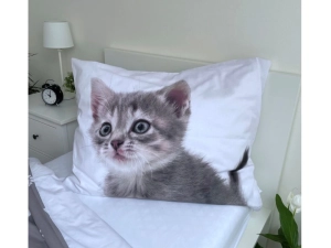 Jerry Fabrics Povlečení fototisk Kitten grey 140x200, 70x90 cm