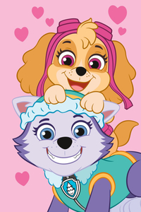 Jerry Fabrics Dětská fleecová deka Paw Patrol PP518 100x150 cm
