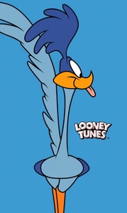 Dětský froté ručník Road Runner 30x50 cm 