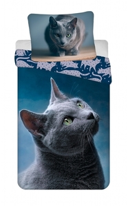 Jerry Fabrics povlečení bavlna fototisk Dark Cat 140x200 +70x90 cm 