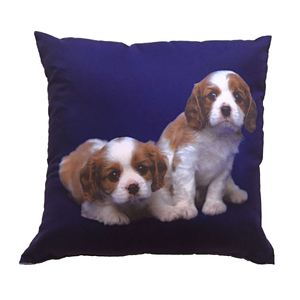 Dadka Fotopolštářek Dva béžovohnědí psi 40x40 cm