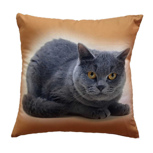 Dadka Fotopolštářek Kočka 40x40 cm