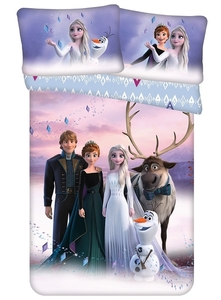Jerry fabrics Disney povlečení do postýlky Frozen "Elements" baby 100x135 + 40x60 cm 