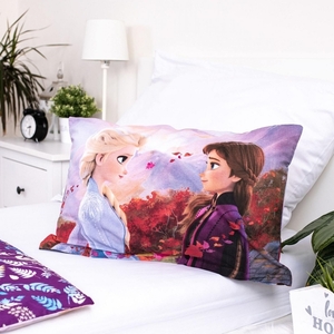 Jerry fabrics Disney povlečení do postýlky Frozen  2 Wind baby 100x135 + 40x60 cm  