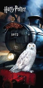 Jerry Fabrics osuška Harry Potter "Hedwig" 70x140 cm  