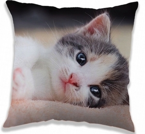 Jerry Fabrics polštářek Kitten 40x40 cm 