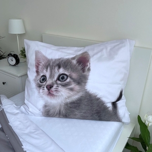 Jerry Fabrics povlečení bavlna fototisk Kitten grey 140x200+70x90 cm 