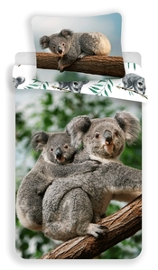 Jerry Fabrics povlečení bavlna fototisk Koala 140x200+70x90 cm 