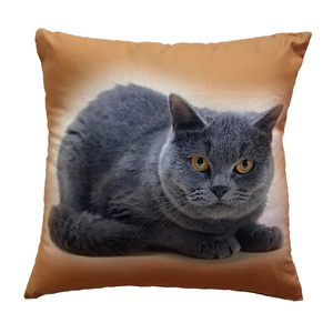 Dadka Fotopolštářek Kočka 40x40 cm