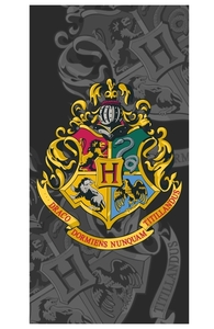 Jerry Fabrics osuška Harry Potter 70x140 cm 