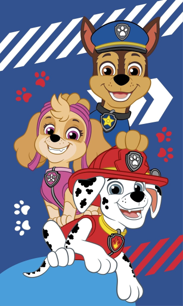 Jerry Fabrics Dětský ručník Paw Patrol Blue 30x50 cm