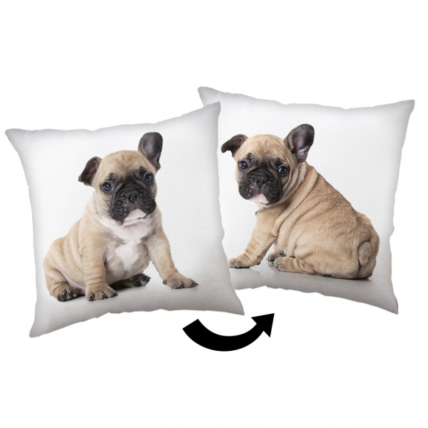 Jerry Fabrics Polštářek Bulldog 40x40 cm