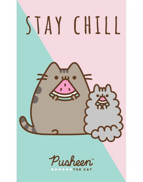 Carbotex Dětský ručník Kočička Pusheen Stay Chill 30x50 cm